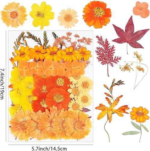 Vista 39 de 40 flores secas prensadas negras para manualidades, kit de flores secas Xinxinran para moldes de resina, accesorios de resina epoxi, marcador, uñas