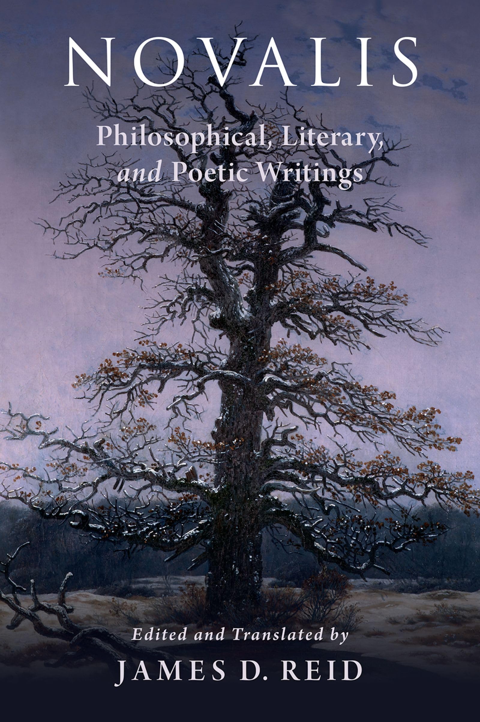 Novalis: Philosophical, Literary, and Poetic Writings: Philosophical, Literary, and Poetical Writings