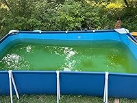 Review Image by Alyssa Alyssa