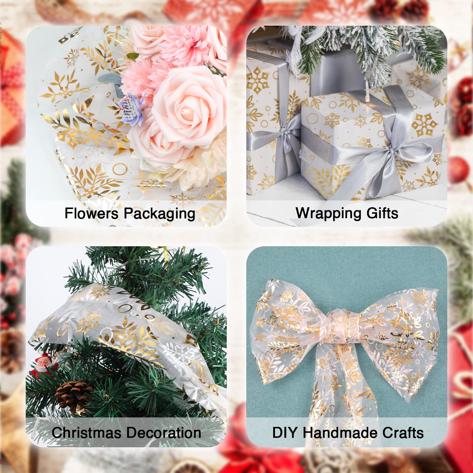 View 7