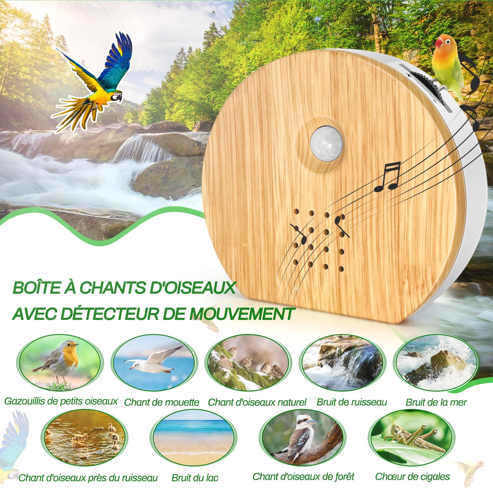 Boîte détecteur de Mouvement avec Chant d'oiseaux, Rodukee Boîte Soundbox Oiseau avec Minuterie, 9 Naturels Birdsongs, Murmure de Ruisseau, Source Forestière, Boîte à Musique Relaxante et Détente