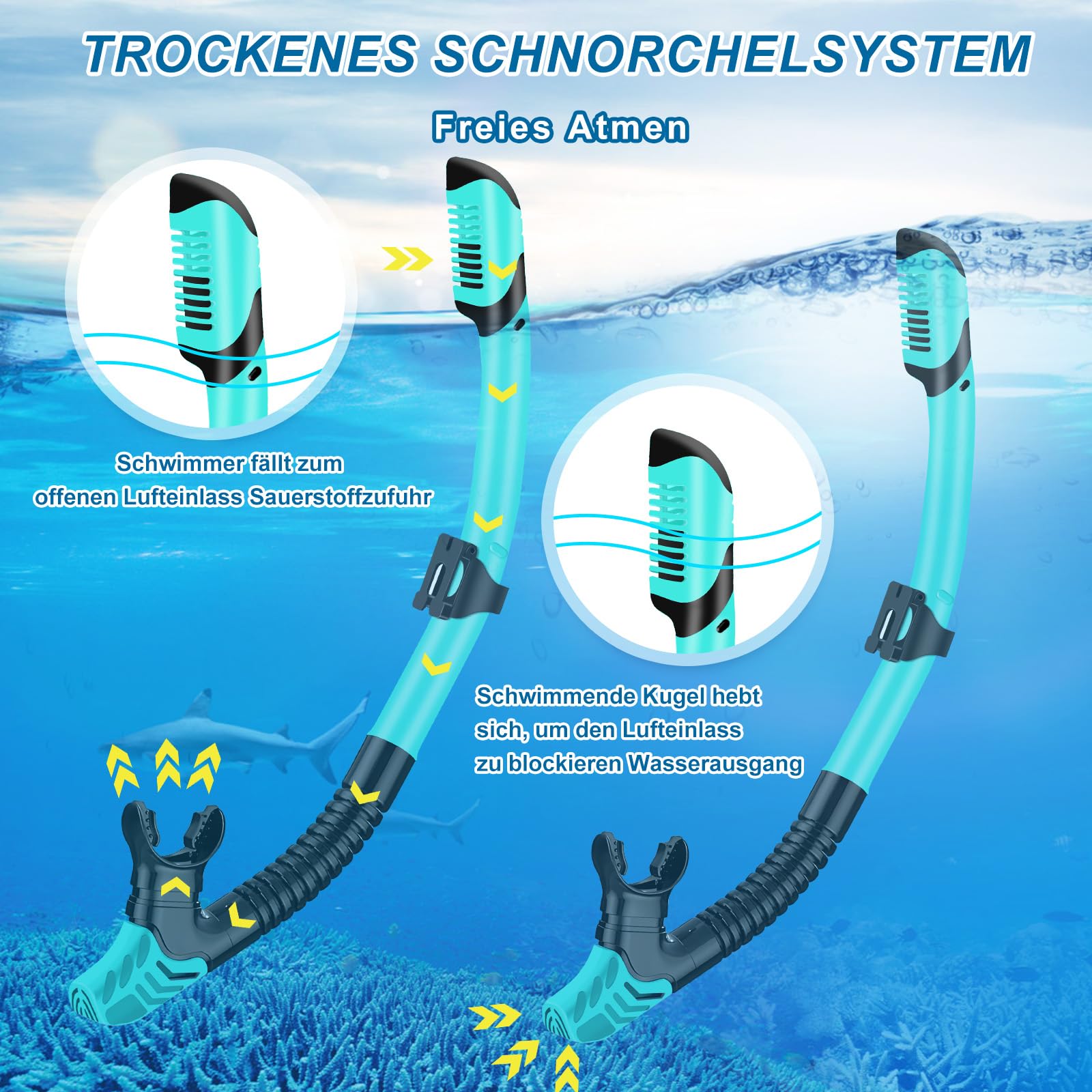 IEEILULU Schnorchelset Erwachsene mit Flossen, Schnorchelmaske Set mit Antibeschlag Taucherbrille,180° Panorama Glaslinse, Verstellbaren Flossen & Tragetasche für Schnorcheln Tauchen