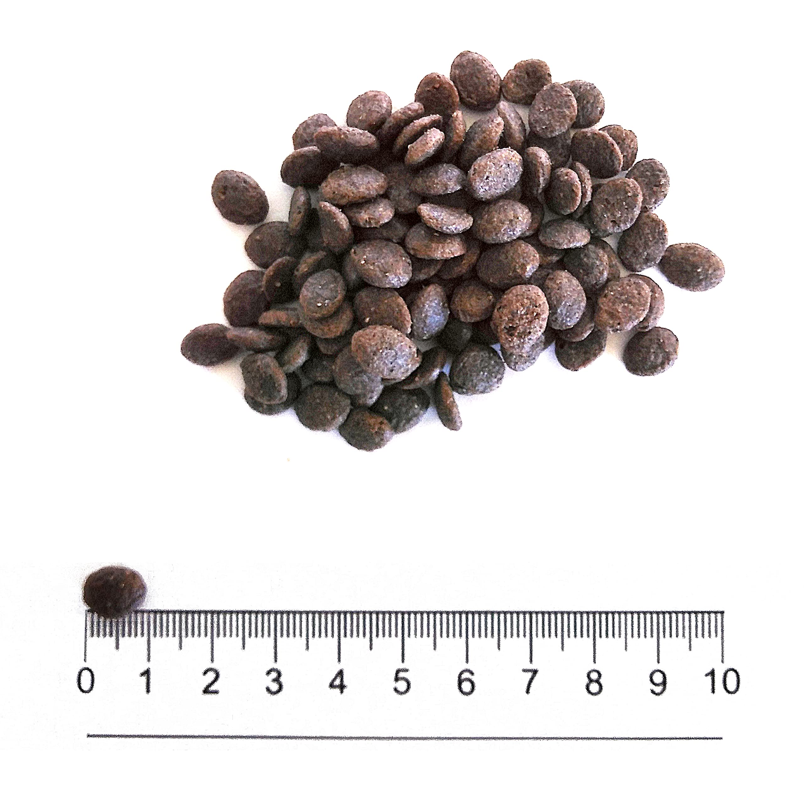 Crocchette Prolife Grain Free Per Cani Adulti Sensibili - Maiale & Patata, Confezione 7 Kg, Mini Taglia - Foto 8