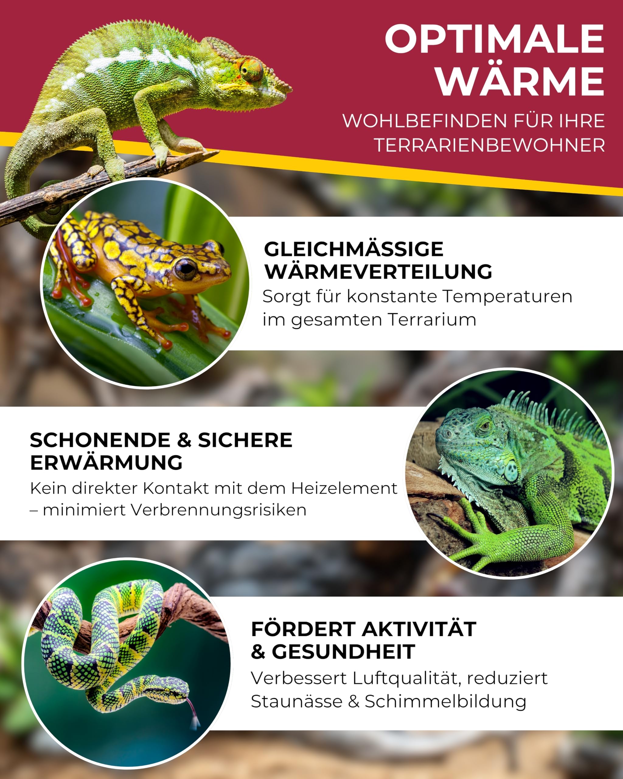 Hobby Heat Up Fan 30 W I Terrarium Heizlüfter I Gleichmäßige Wärme & Luftzirkulation für Reptilien I Energieeffiziente Terrarien Heizung mit Ventilator I Sicheres Wärmesystem für gesunde Tiere