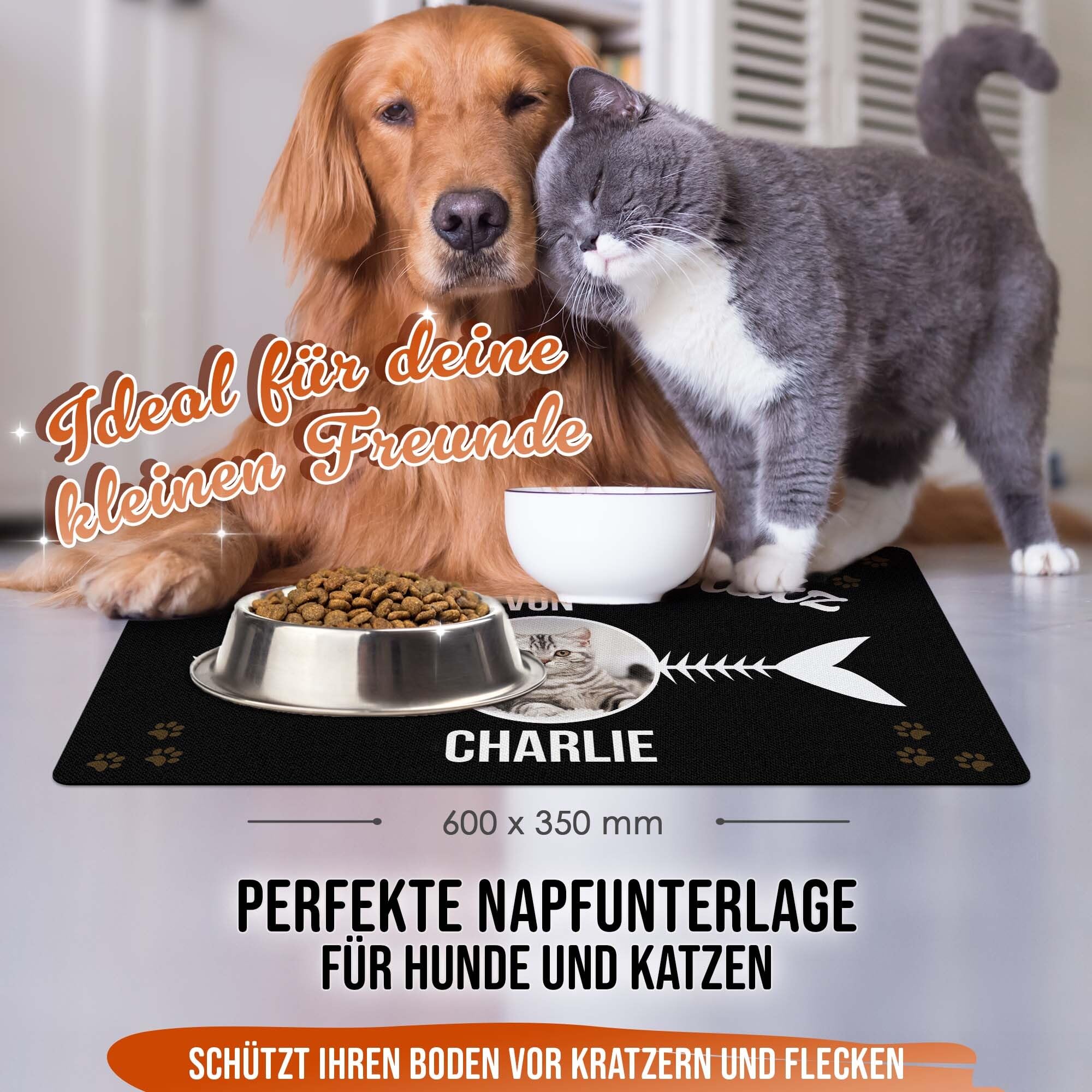 PR Print Royal Napfunterlage mit Name und Foto selbst gestalten - Schlemmerplatz - Futtermatte für Katzen - Personalisiertes Foto-Geschenk für Katzenbesitzer, Waschbar | 60 x 35 cm, rutschfest
