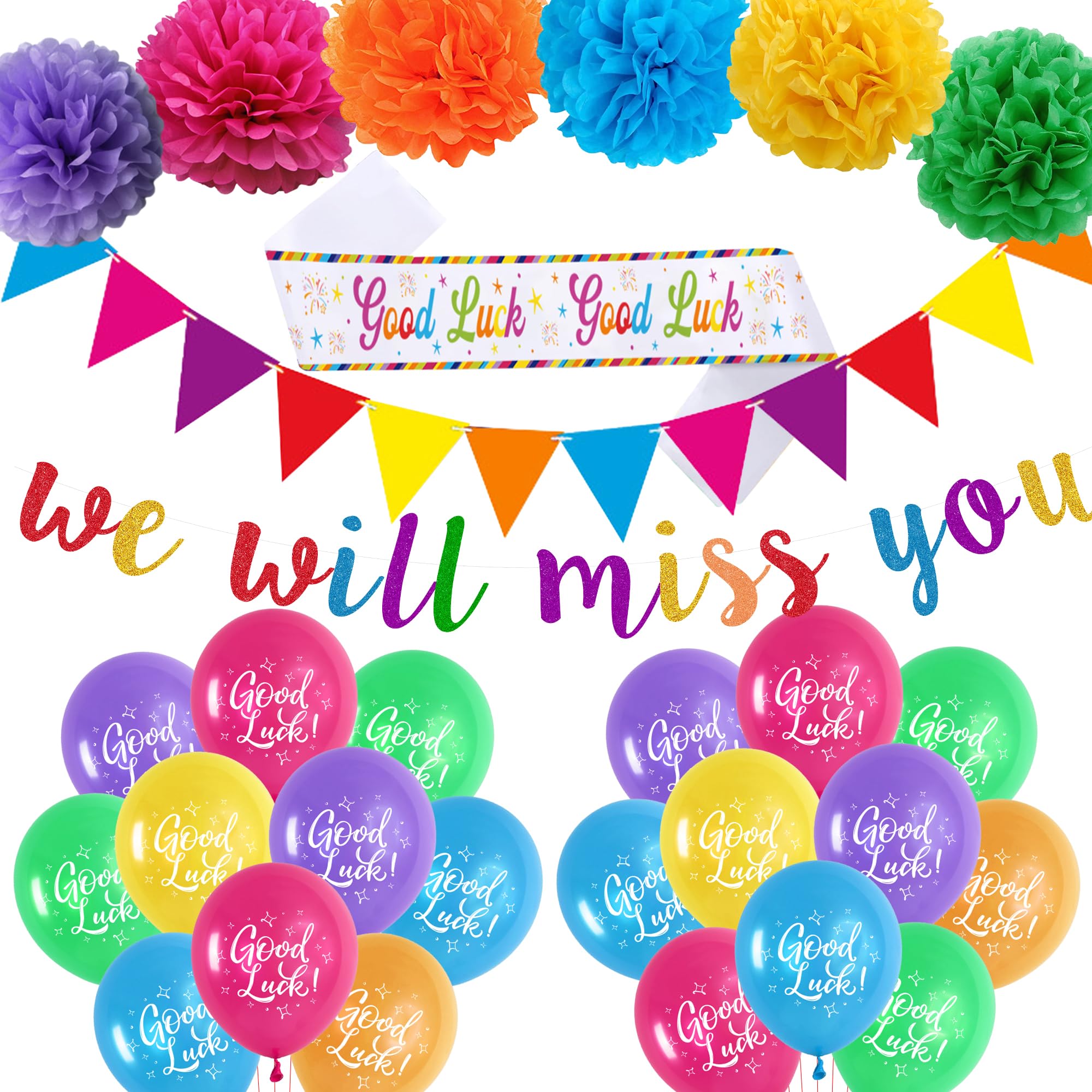 We Will Miss You Banner Decorations - Sorry You Are Leaving Decoration Banners Buntings Sash Paper Pom Poms, Good Luck Balloons Retirement Graduation Going Away Farewell Party Supplies