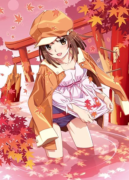 Amazon 化物語 第四巻 なでこスネイク 通常版 Dvd アニメ