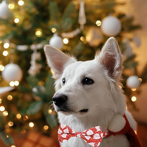 Miniatura 9 de Collar con pajarita para perro de San Valentín, Holiday Let's Kiss y XOXO collar para cachorros grandes, medianos y pequeños (pequeño-(11-17