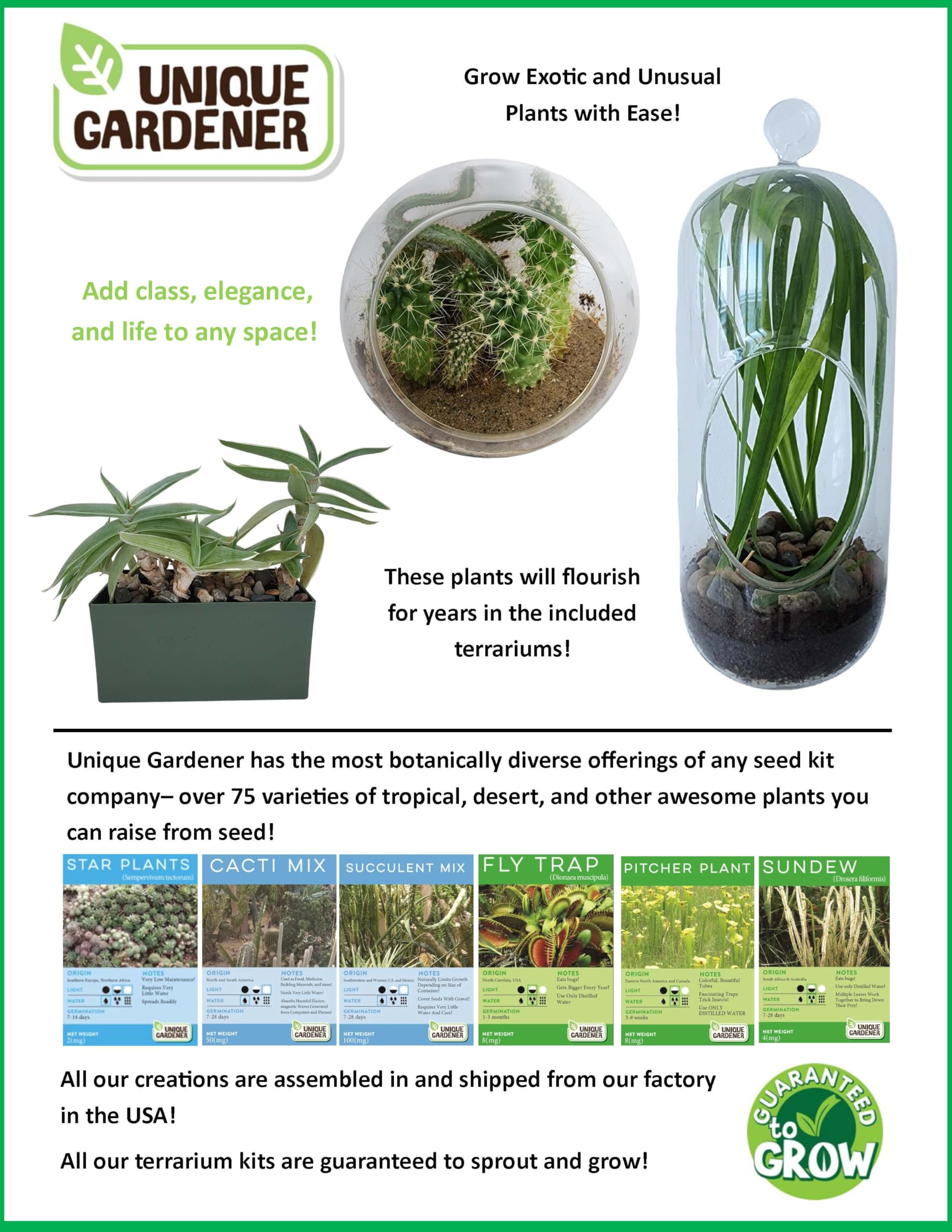 Amazon.com : Grow Your Own Aloe Plant - Nurture Your Own