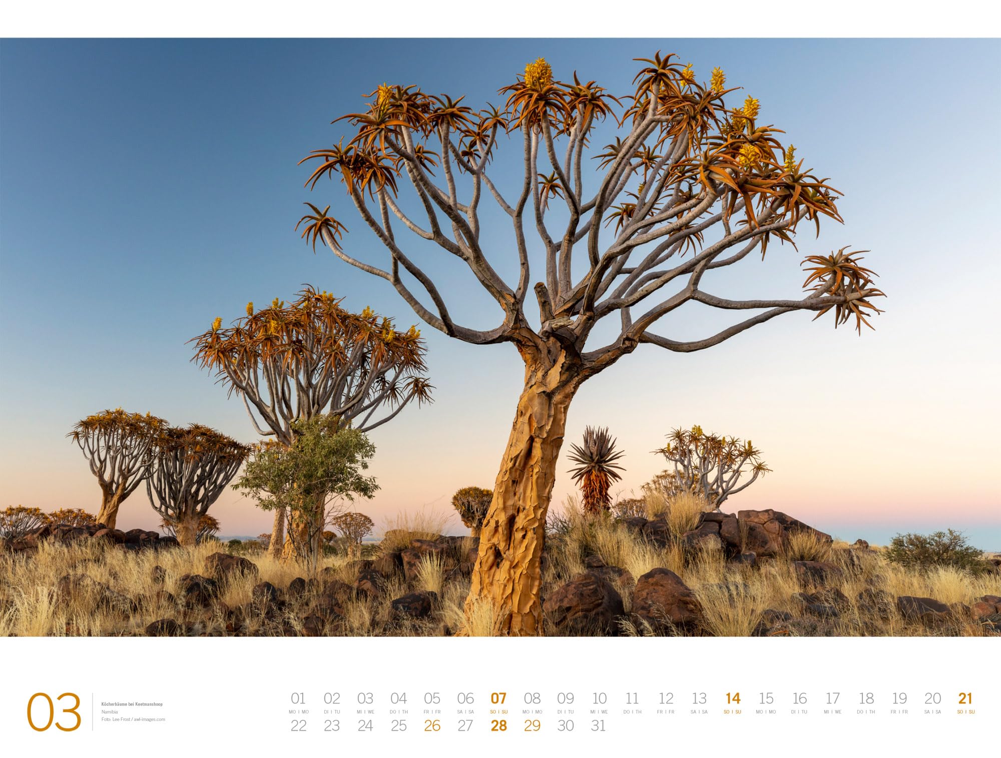 Afrika Gallery Kalender 2027: Bildgewaltiger Afrika-Kalender im großen Querformat (66x50 cm) | Tiere und Landschaft im Großformat