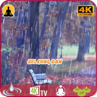 Relaxing Rain Sounds For Sleeping 💤 Fall Asleep With The Soothing Sounds 🎵 Of Rain And Thunder