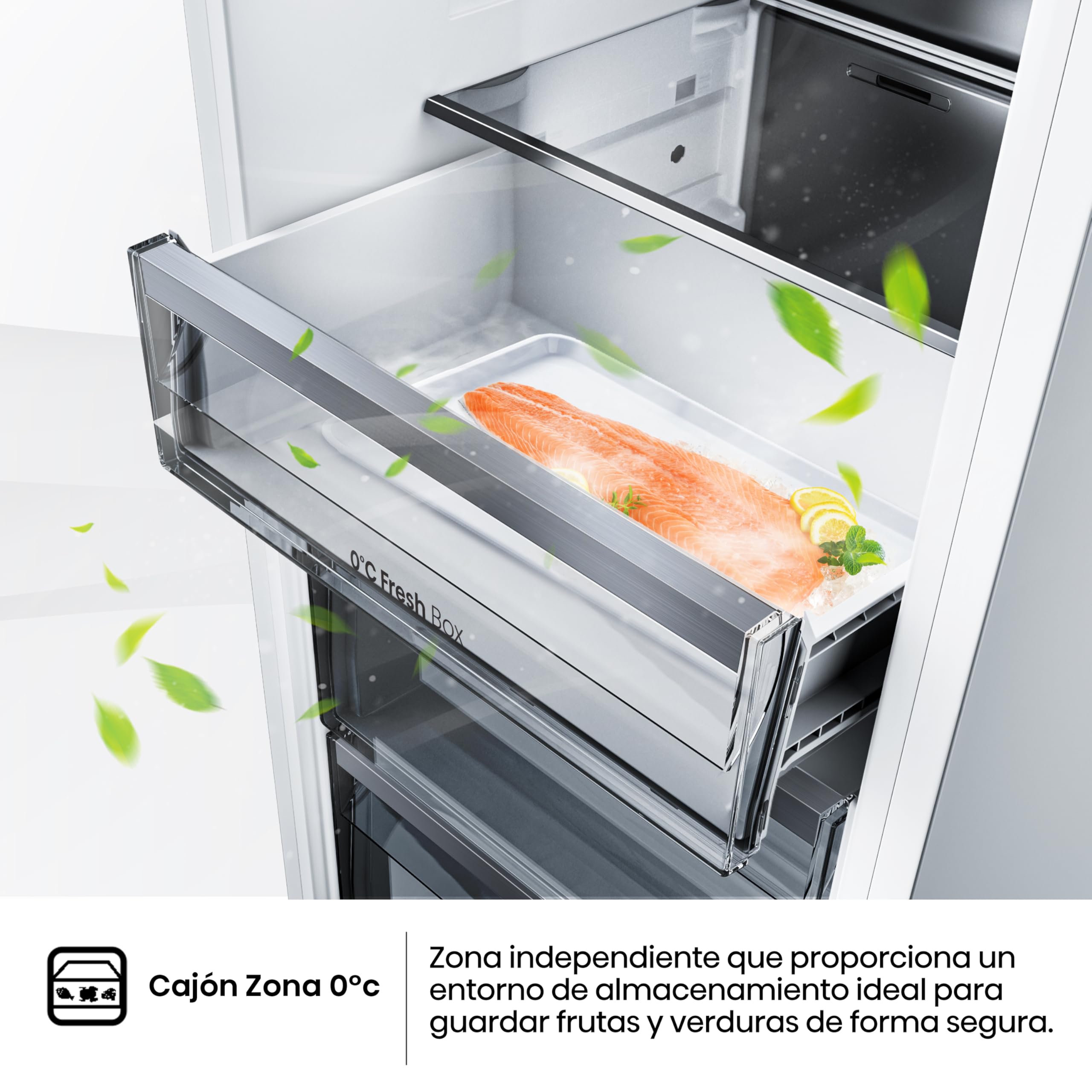 Hisense RB3B250SAWE - Frigoríficos Integrable, Combi, 252L, Class E, Ancho 54cm x Alto 178cm, Cajón Frutas Y Verduras Control De Humedad, Multi Air Flow, Dual Tech Cooling, Motor Inverter