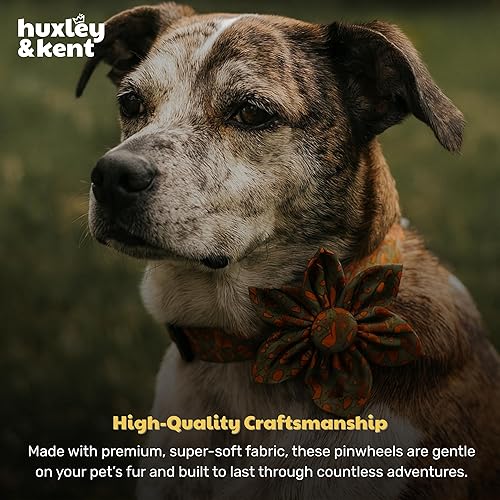 Miniatura 7 de Huxley & Kent Molinete para mascotas  Silly Squirrels (pequeño)  Accesorio de collar de otoño para perrosgatos  Accesorio de collar de arco