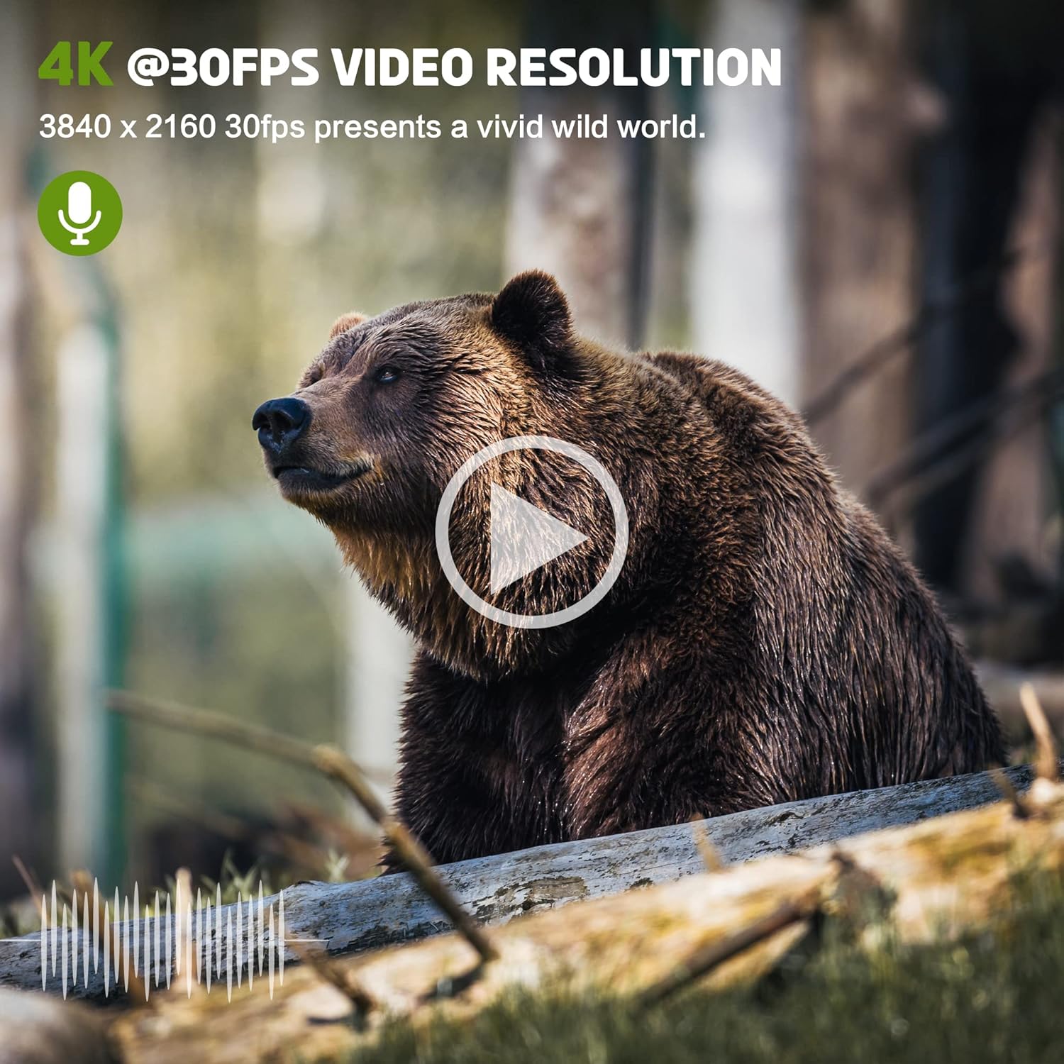 Lamgool Trail Camera Solar Powered 30MP 4K 30fps, Game Camera with WiFi Bluetooth 80°Wide-Angle Motion Sensor 0.1s Trigger Time Trail Camera with Night Vision IP66 Waterproof for Wildlife Monitoring