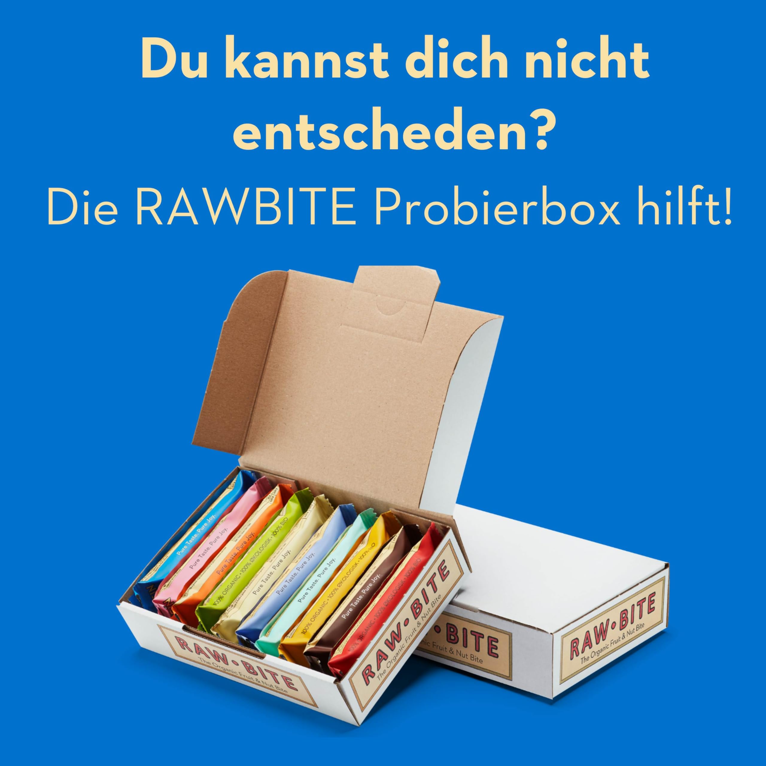 RAWBITE PROTEIN Riegel mit 21g Eiweiß I 45 Bio Proteinriegel in der Office Box I Reisprotein, Datteln, Cashews, Vanilla & Kakao I Vegan, glutenfrei, laktosefrei I enthält natürlichen Zucker I 45 x 15g