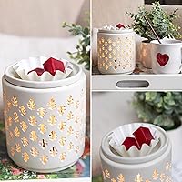 Vista 4 de Revestimientos calentadores de cera para derretir 25 revestimientos reutilizables a prueba de fugas para calentador de cera Forro de cera