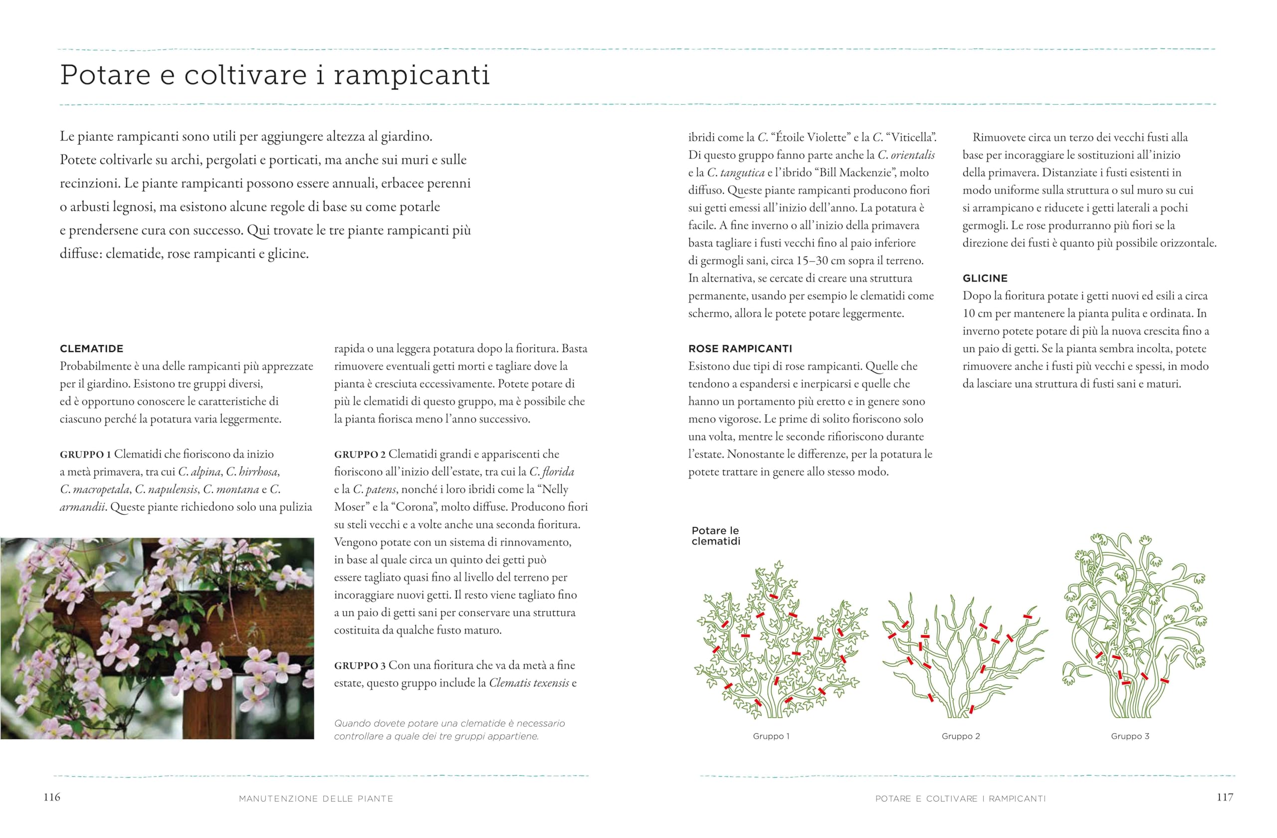Come diventare un mago del giardino (e dell'orto)