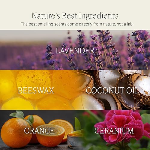Miniatura 4 de Velas de cera de abejas con mecha de madera Fontana Candle Co, Citrus de flores silvestres - Hechas con aceite de coco y aceites esenciales puros