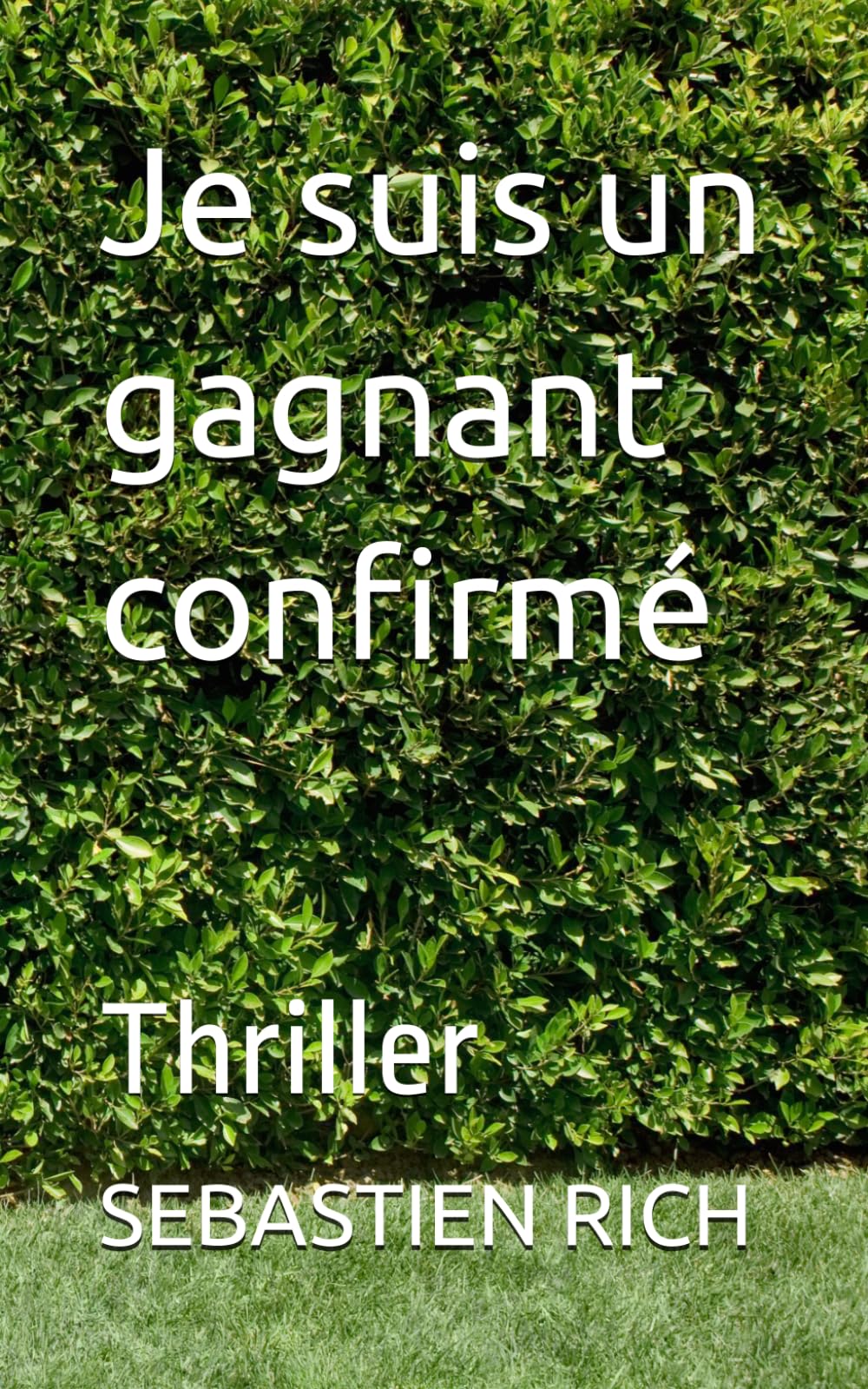 Je suis un gagnant confirmé: Triller (Thrillers psychologiques)