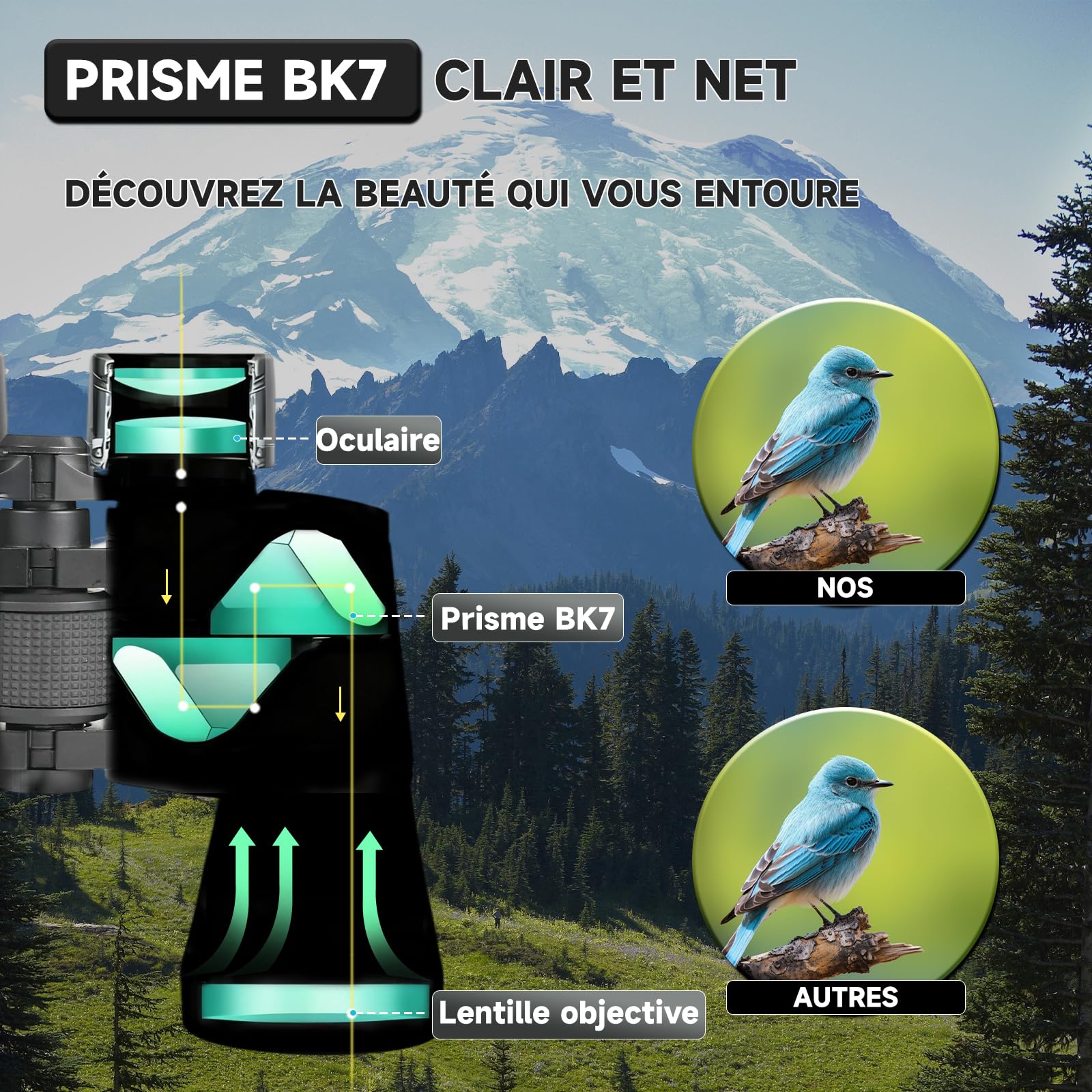 Jumelles Adultes 10x50 Compact pour l'Ornithologie | Jumelles Adultes Puissante pour Observation des Oiseaux,HD Portables étanches pour Football, Concerts