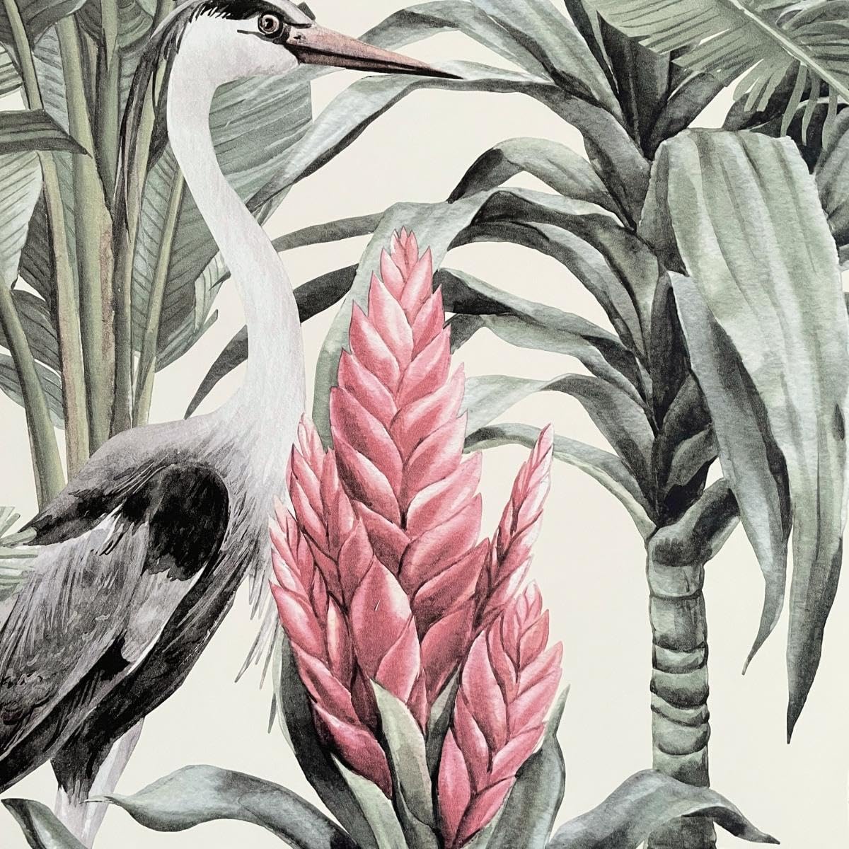 World of Wallpaper Manu Tropical Birds Wallpaper Pattern Match Wallpaper for Living Room/Hallway/Bedroom in Cream AF0020