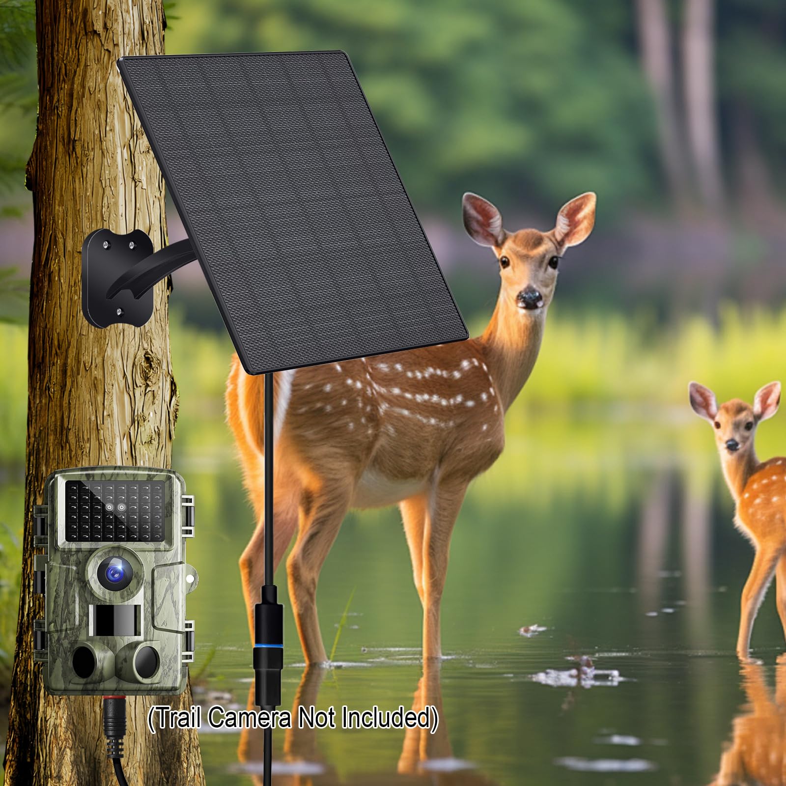Panneau solaire 10 W pour caméras de sécurité IP66 étanche avec câble de 3 m USB C et ports CC 5,5 x 2,1 mm Support réglable pour caméra extérieure