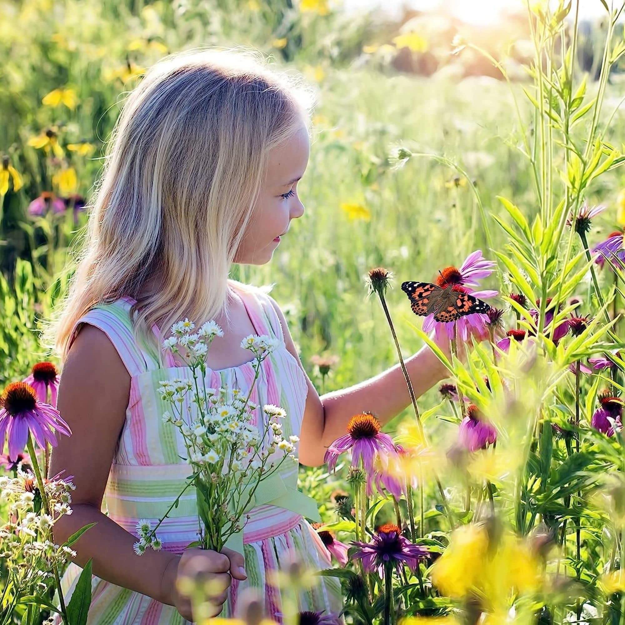 Ensemble d'élevage de Papillons pour Enfants/Adultes | Élevage de Papillons avec [Garantie de réussite] | Papillons indigènes | Élevage de chenilles à Domicile à partir de 3 Ans