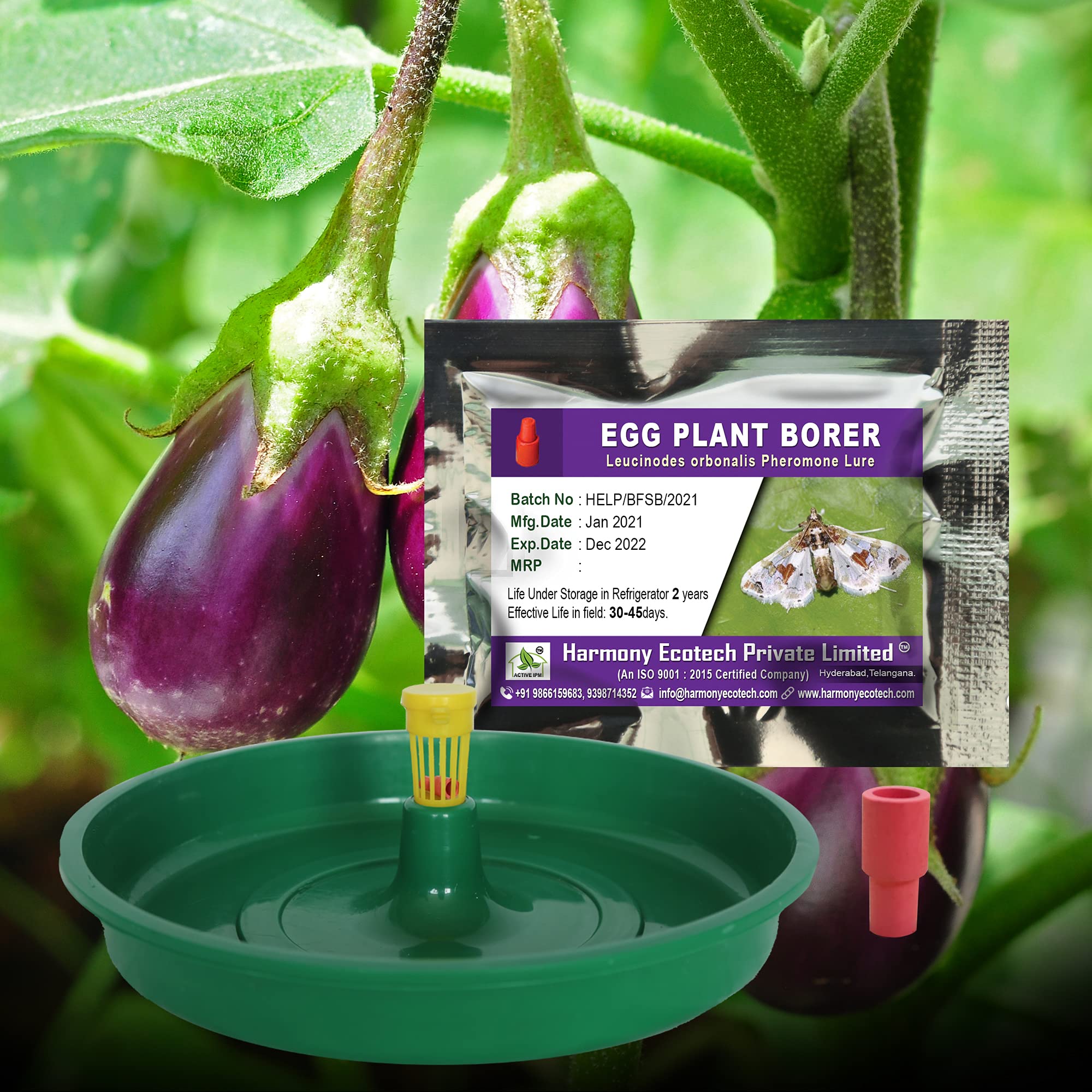 ACTIVE IPM Water Trap + Leucinodes orbonalis Pheromone Lure (Combo Pack of 4 Sets) Pest Control Tool for Attracting, Trapping Eggplant Fruit & Shoot Borer Insects in Cultivation Crops of Brinjal-image-34