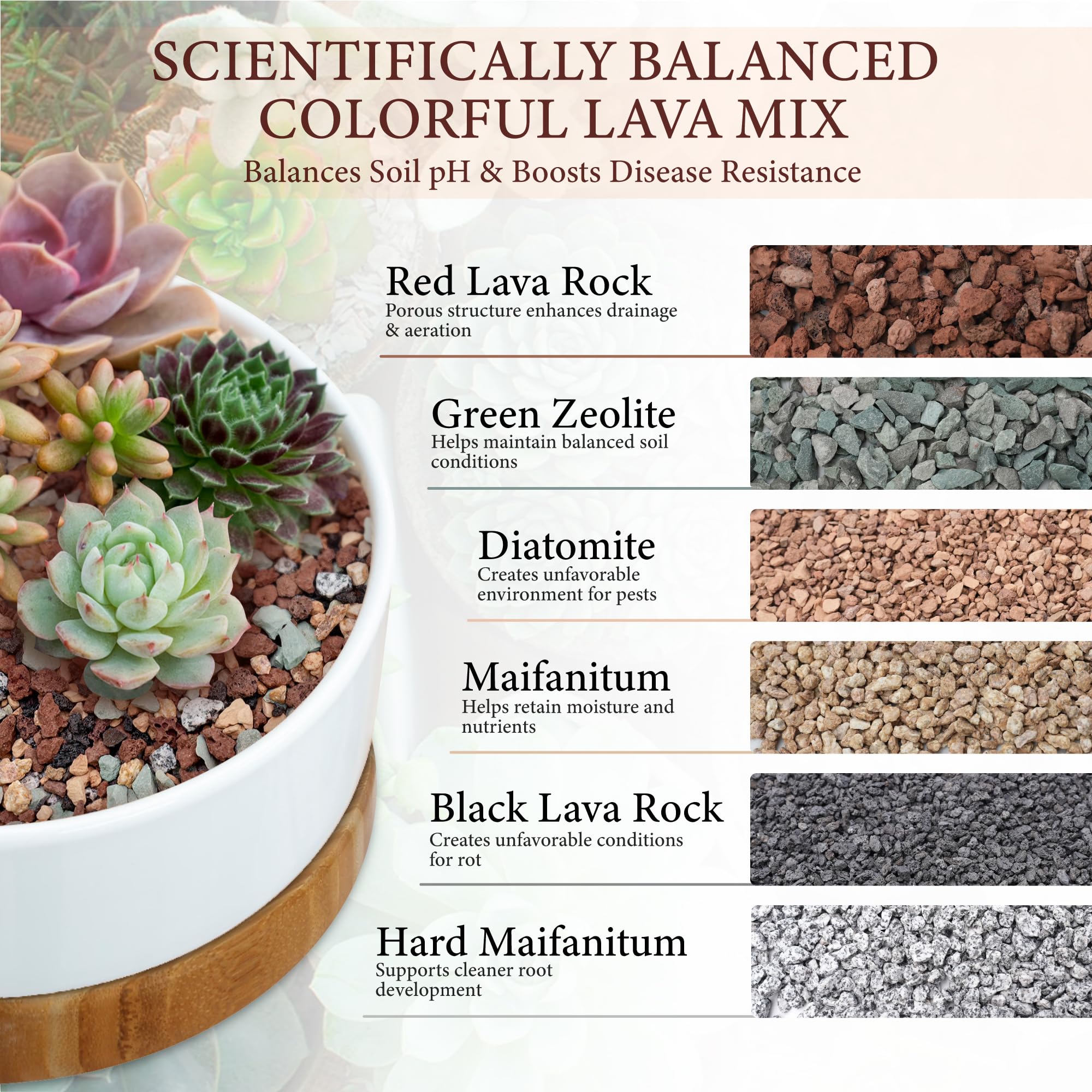 Rocas de lava de 10 libras para plantas, roca volcánica de 3/8 pulgadas para drenaje de cactus | Piedra pómez para plantas, grano hortícola para mezcla de macetas suculentas, orquídeas y bonsái decorativo