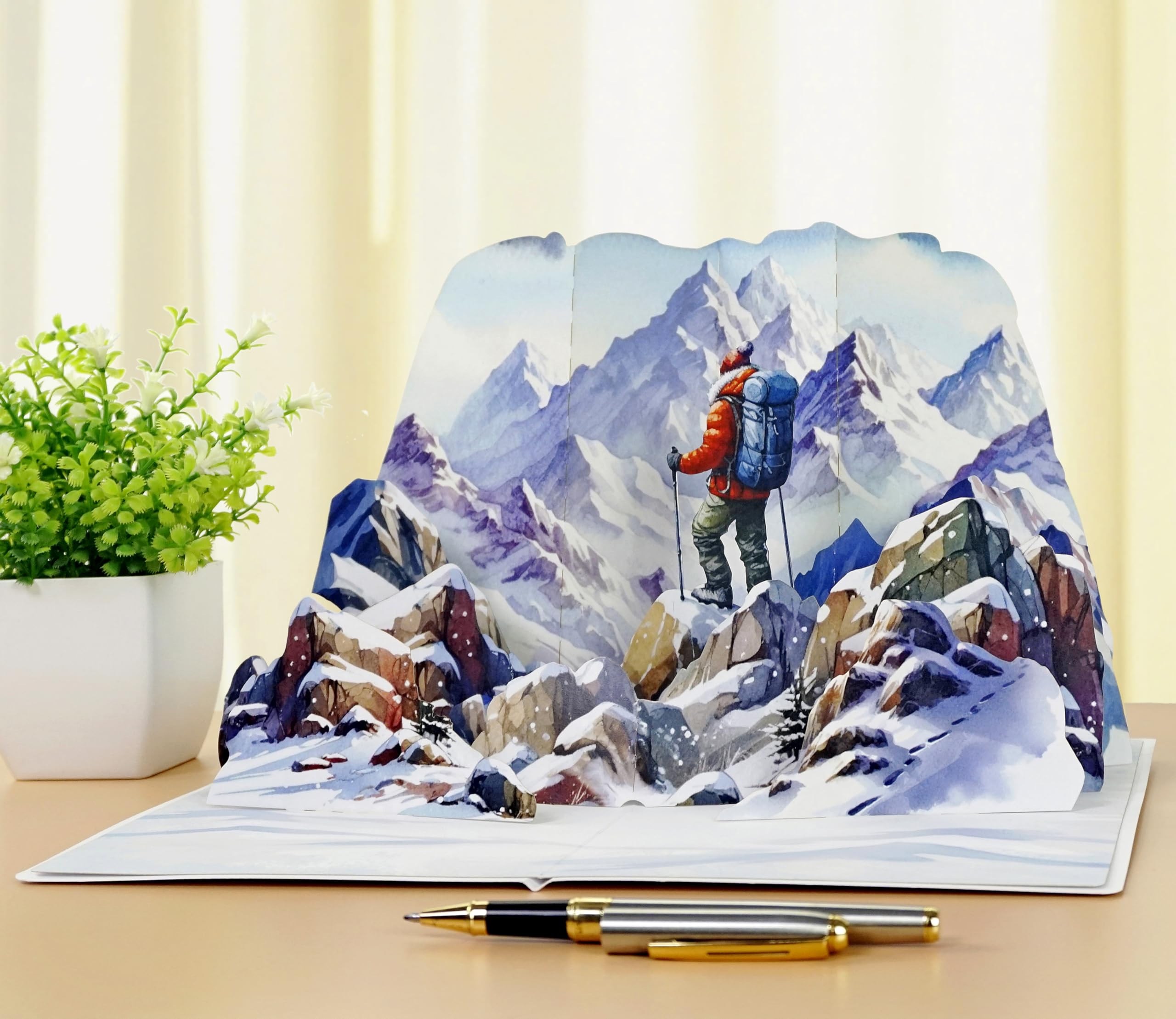 View 5