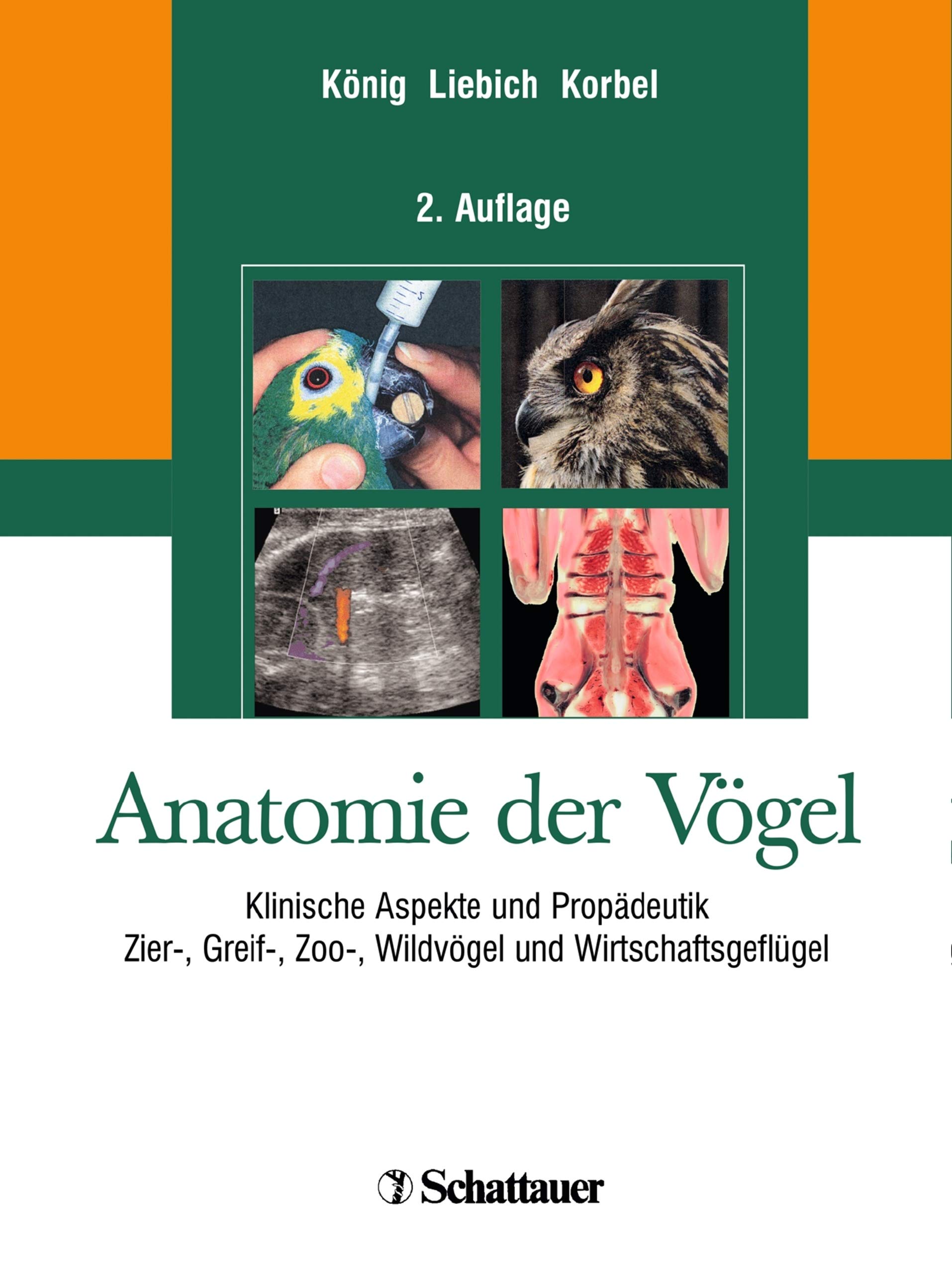 Anatomie der Vögel: Klinische Aspekte und Propädeutik. Zier-, Greif-, Zoo-, Wildvögel und Wirtschaftsgeflügel