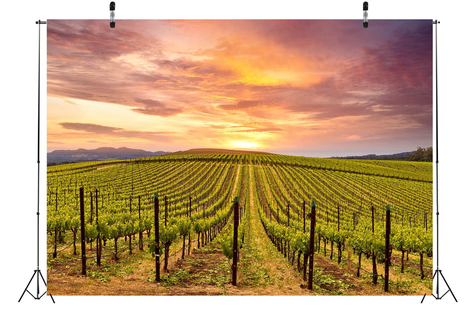 BELECO 9x6ft Fabric Sunset Vineyard Backdrop Wine Glasses And Bottle, Grapes And Wine Barrel, Winery Photography Background Vineyard Theme Party Decorations Birthday Baby Shower Shoot Photo Props - View #7