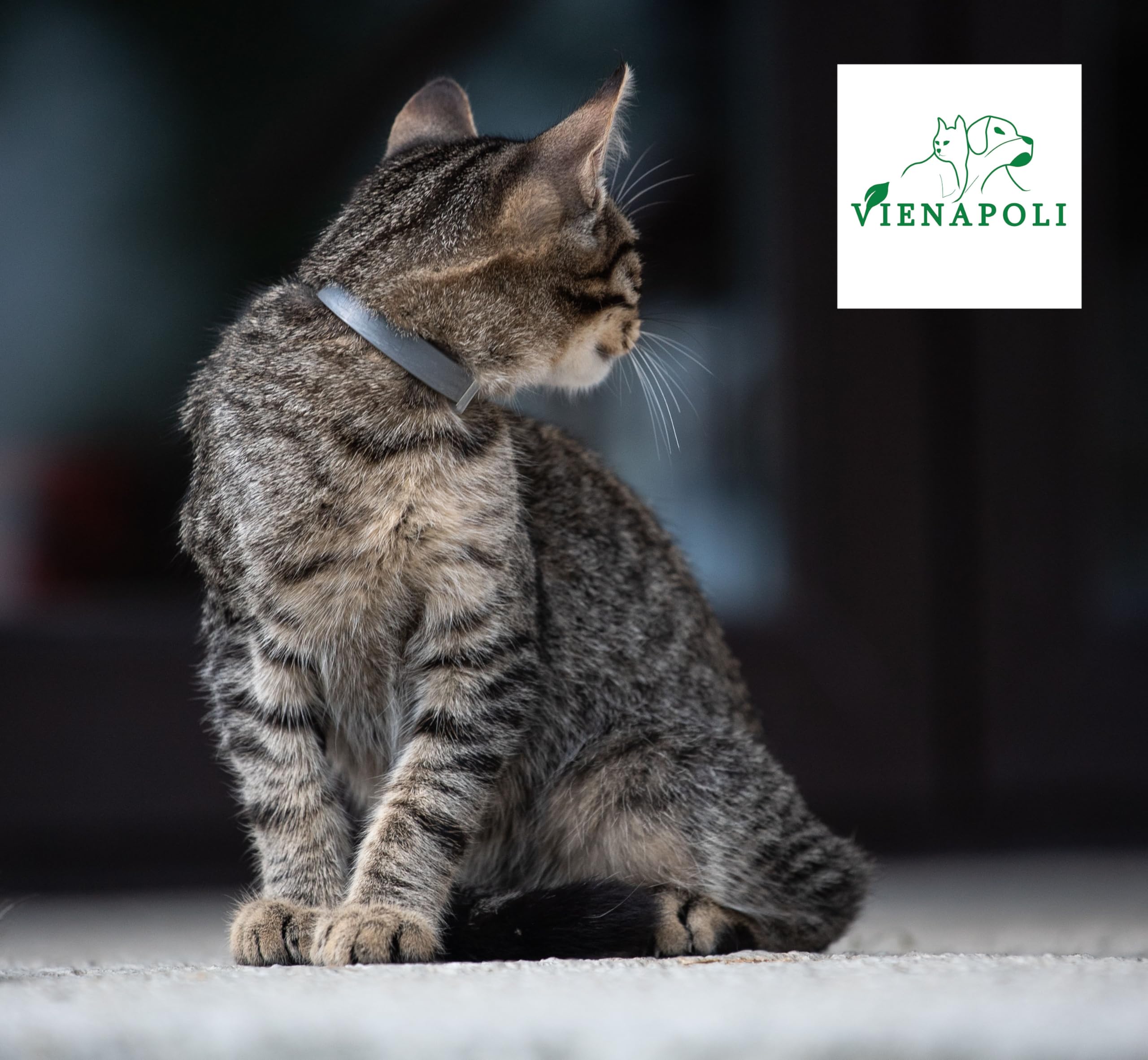 Collar antipulgas y garrapatas para Gatos, Resistente al Aqua, protección Activa de hasta 8 Meses, 33 centimetros, para qualquier tamaño de Gato