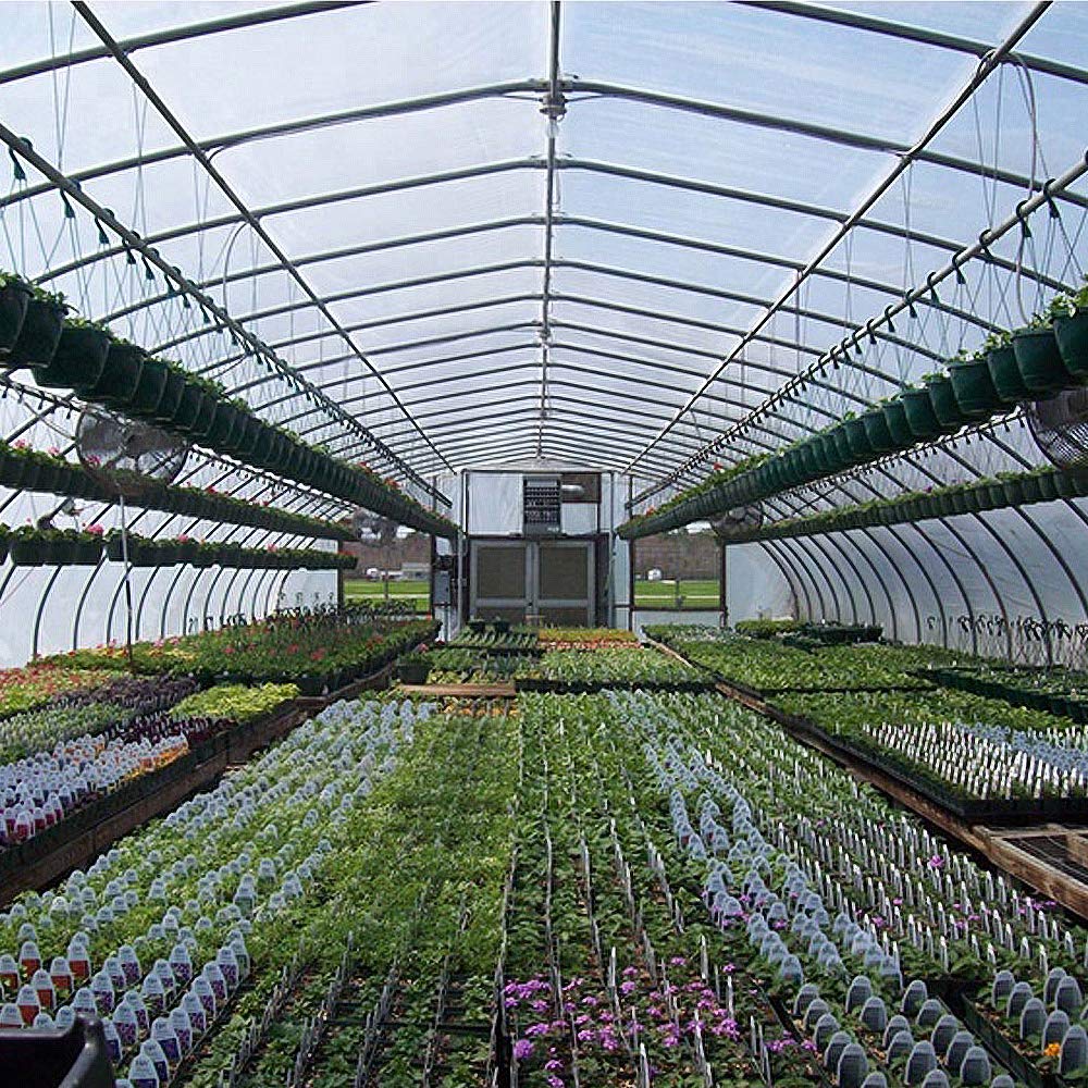 NAIZY 14 x poliwęglanowa płyta komorowa z komorami powietrznymi, 4 mm | 10,25 m² podwójna płyta komorowa do szklarni, ogrodu, cieplarni (60,5 x 121 cm) - przezroczysta