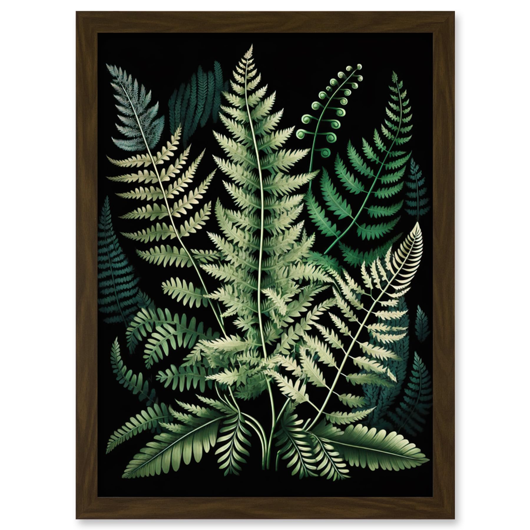 Artery8 Different Fern Fronds Detailed Leaves Illustration Artwork Framed Wall Art Print A4