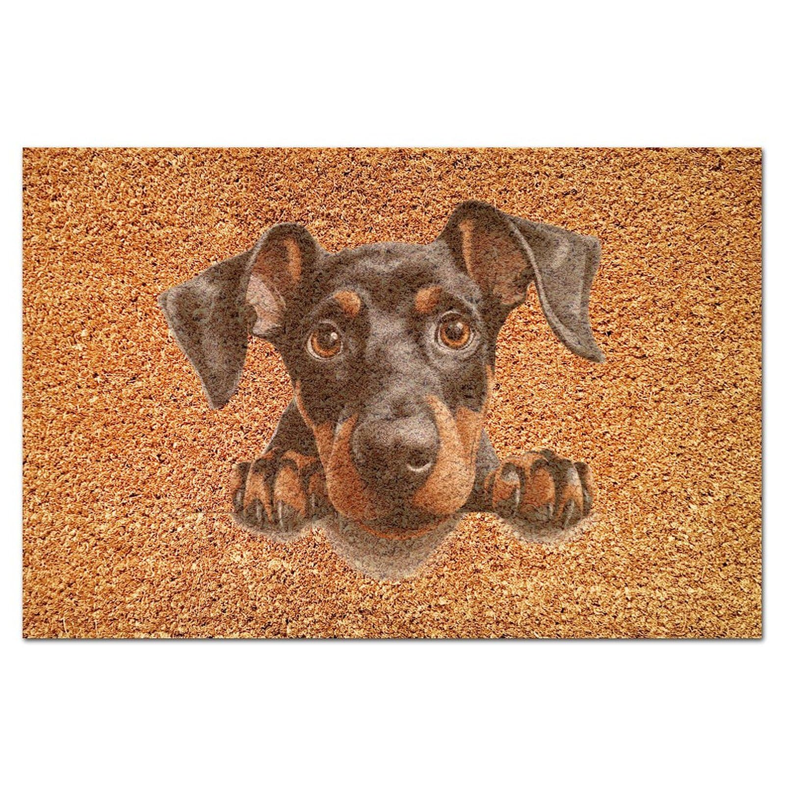 Paillasson Doberman cadeau original en coco pour entrée et patio