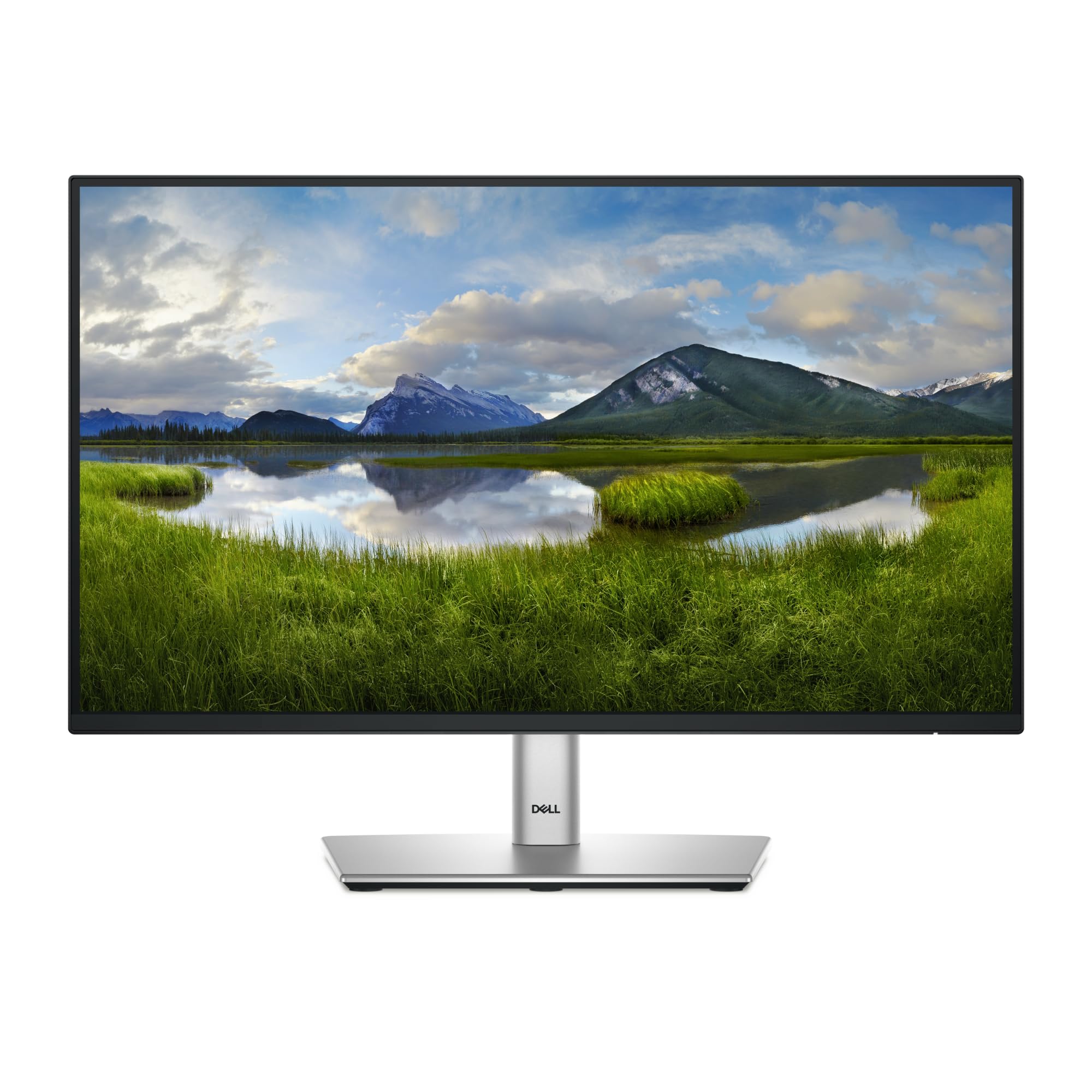 Dell P2225H Skaerm – LED baglys – 2