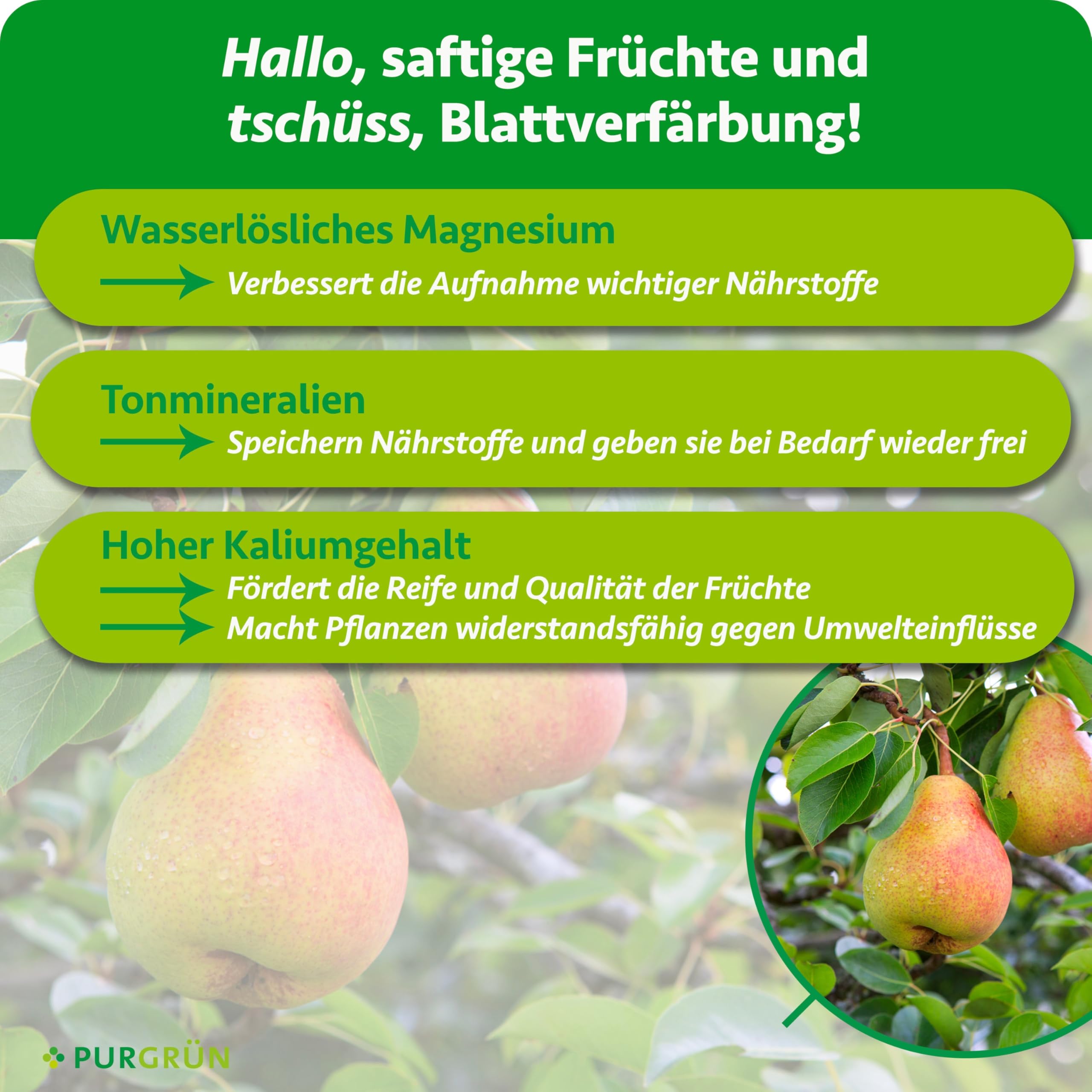 Bio-Birnen-Dünger 1 kg – Organisch-mineralische Rezeptur – Feinkörniges Krümelgranulat – NPK 6+3+8 – Mit Magnesium für saftig süße Birnen – Verbessert die Bodenqualität