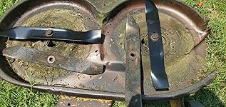 Review Image by James Madison James Madison