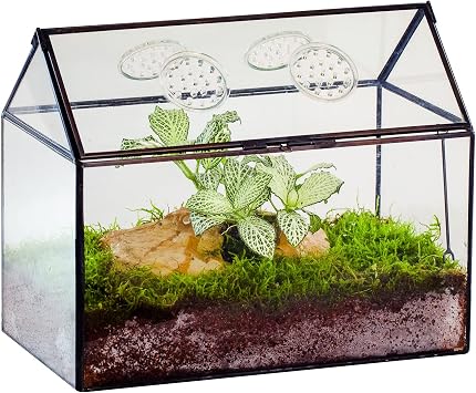 NCYP Glass Terrarium with Lid and Air Holes for Snails - 10.2" x 5.9" x 8.2" House Shape Geometric Clear Terrarium, Indoor Tabletop Decor Black Plants Not Included