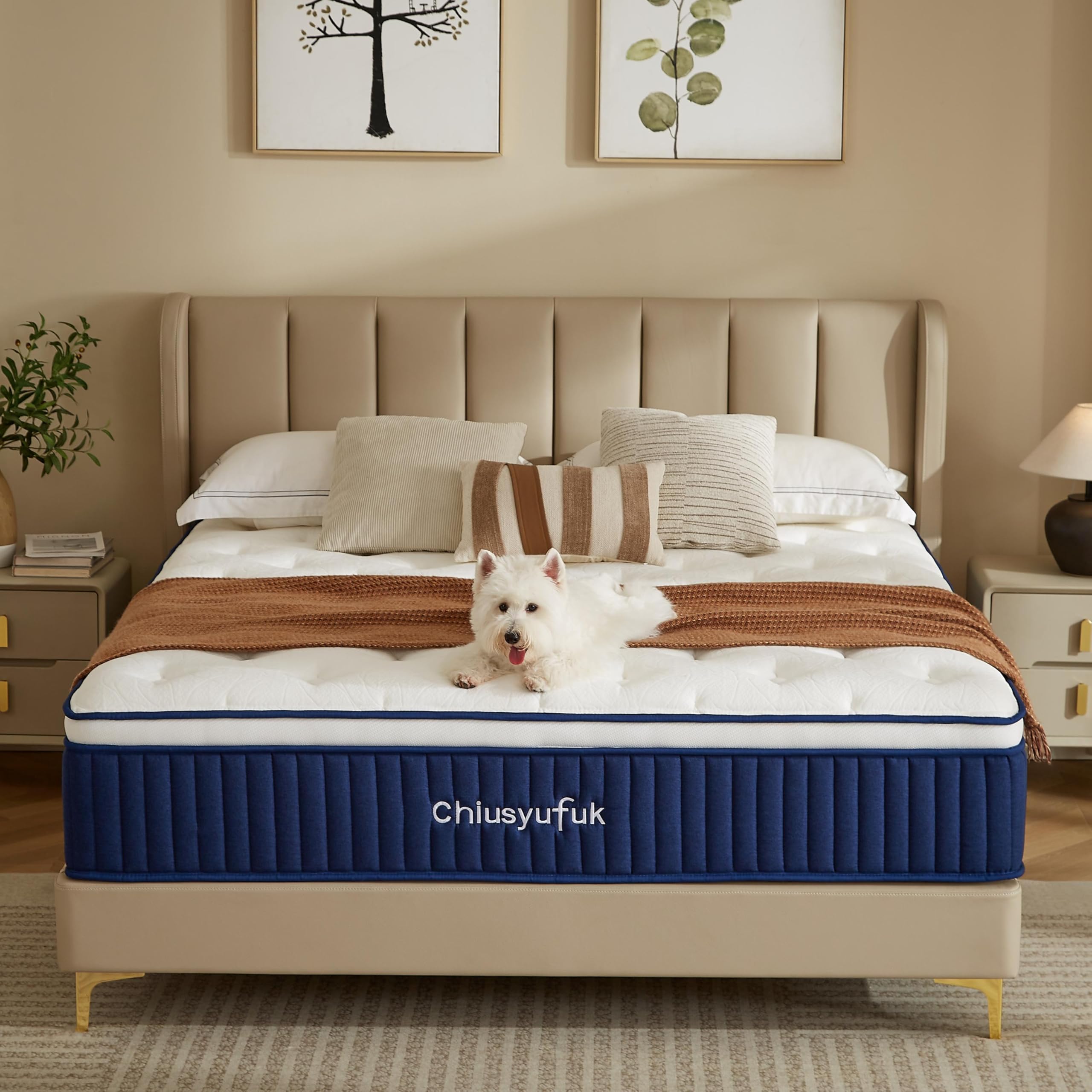 Chiusyufuk Twin Mattress,10 inch Twin Size Mattress,Hybrid mattresses,Single,Gel Memory Foam Individually Wrapped Pocket Coils Innerspring Pressure