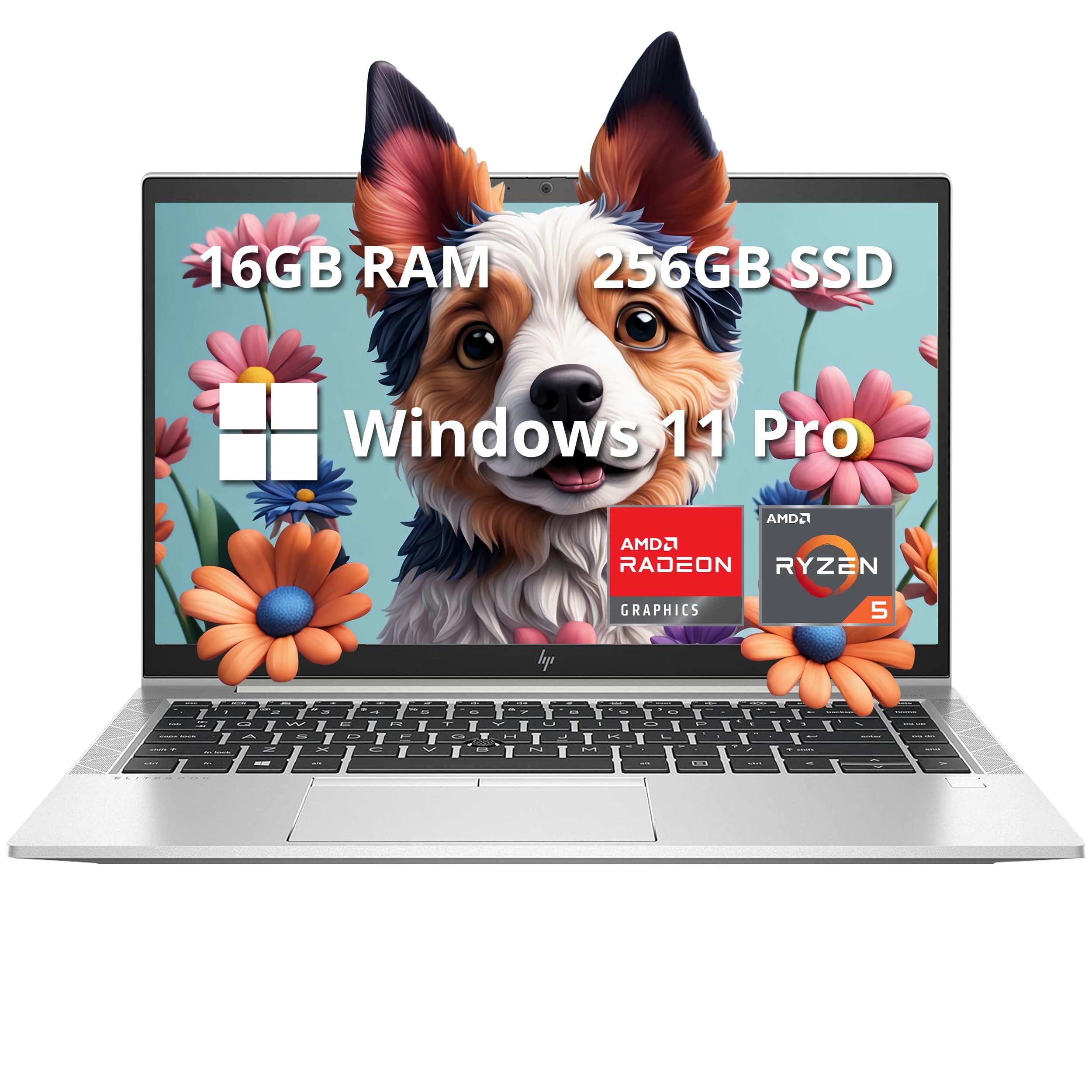 Amazon.com: HP EliteBook 845 G8 14
