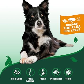 Vets Best Indoor Flea and Tick Spray Dog Flea and Tick Treatment for Home, Plant-Based Formula with Natural Oils, Kills Fleas, Eggs & Ticks on Contact, Made in USA, 32 oz