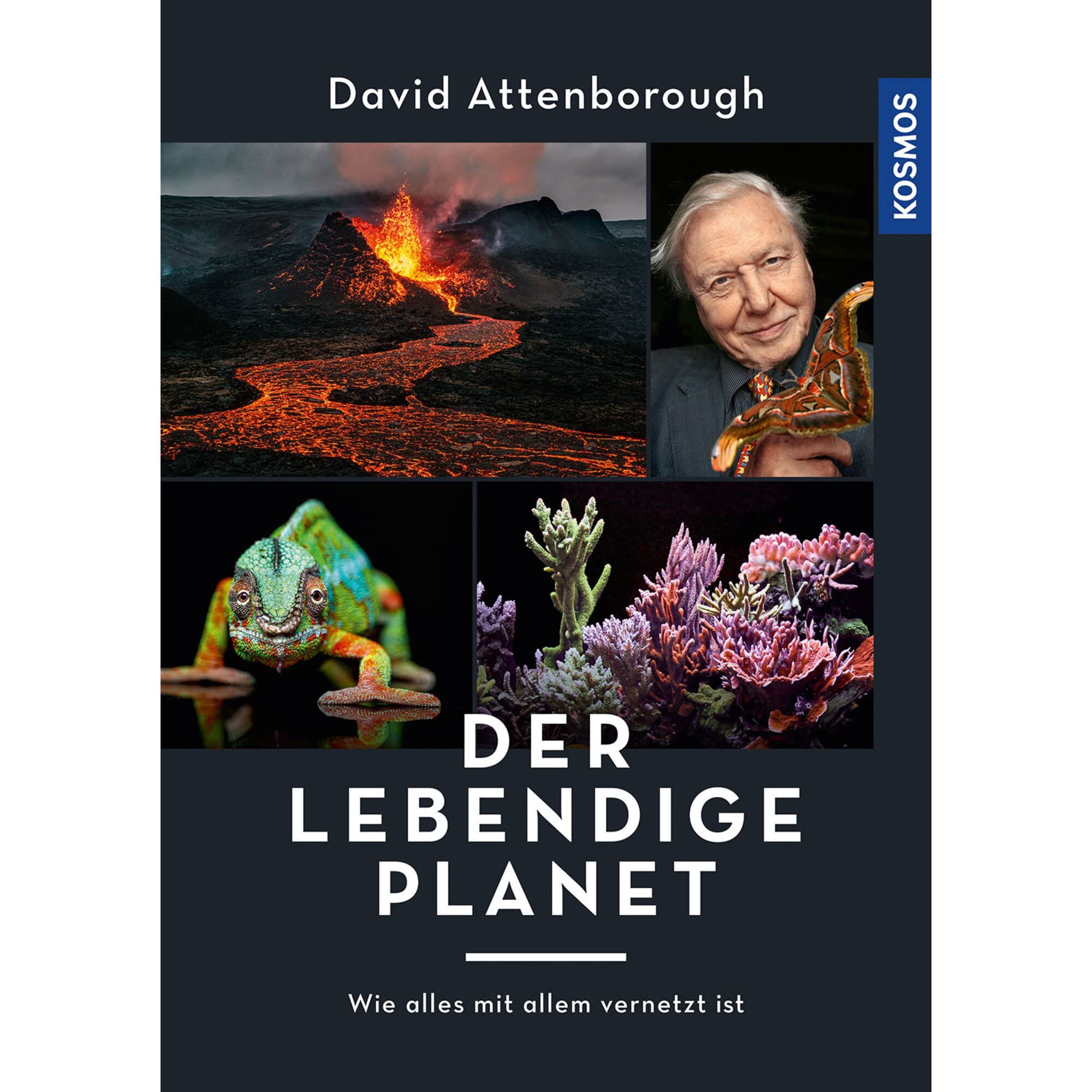 Der lebendige Planet: Wie alles mit allem vernetzt ist