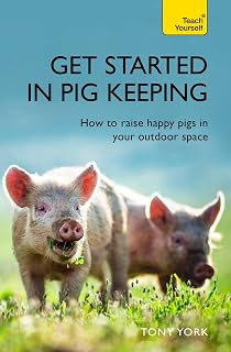 Get Started In Pig Keeping: How to raise happy pigs in your outdoor space