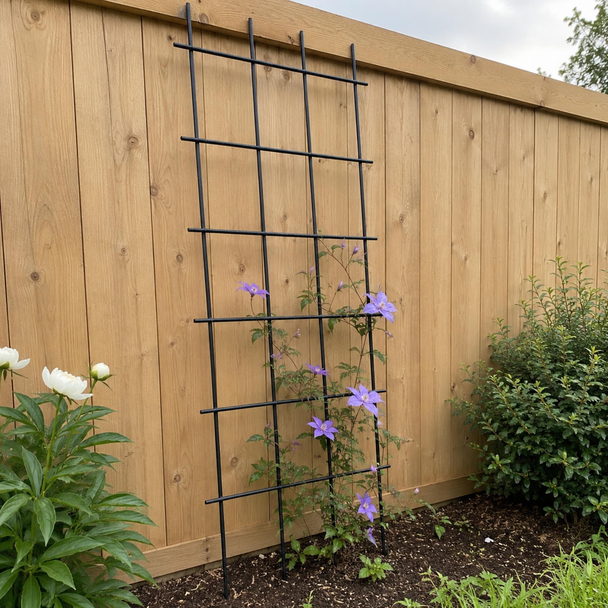 Kadax Rank Grille, traliccio giardino, piante, balcone, terrazza, traliccio di metallo, di rango, griglia da arrampicata in acciaio, da arrampicata, rose tralick, scintillamento (60 x 150 cm)