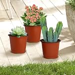 Nursery Pots Planting Pots 4 Inch Plant Pot 100pcs Seedling Pots Plastic Plant Pot Seed Starter Pots Plant Starter Pots Plastic Pots Small Plant Pots Plastic Nursery Pots Seed Starting Pots Flower Pot
