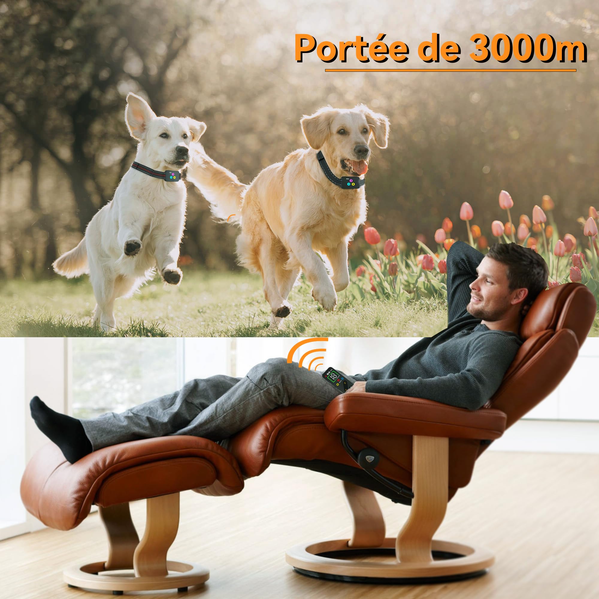 Collier de Dressage pour Chien Meloive, Portée 3000 Mètres, 3 Modes Vibration/Choc/Son, Rechargeable, 2 Colliers