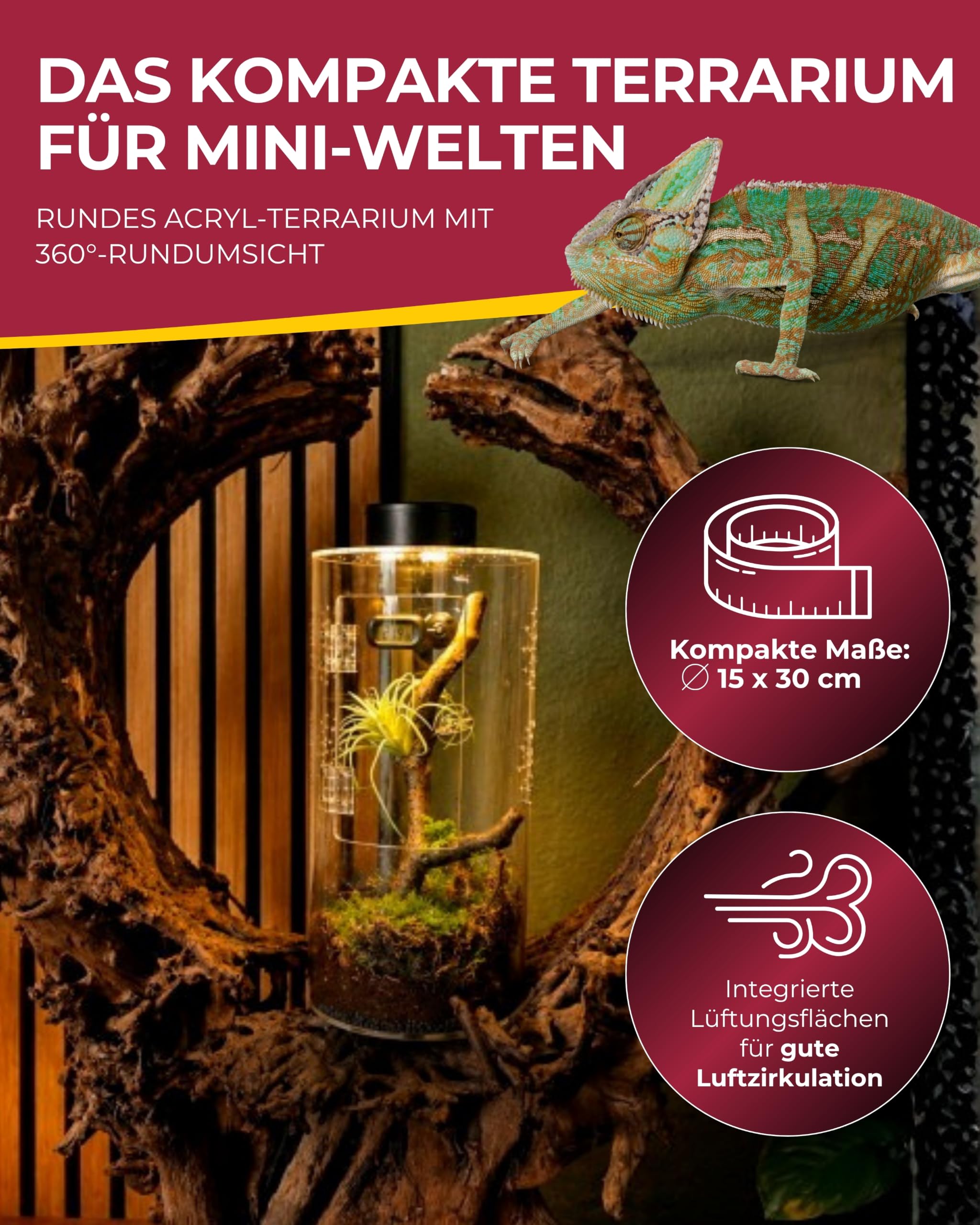 Hobby Terraristik Terra Fix & Easy Insect Line I 15 x 15 x 30 cm I Rundes Acryl-Terrarium I 360° Mini-Terrarium für kleine Insekten I kompaktes Insekten-Habitat inkl. Drainagegrund