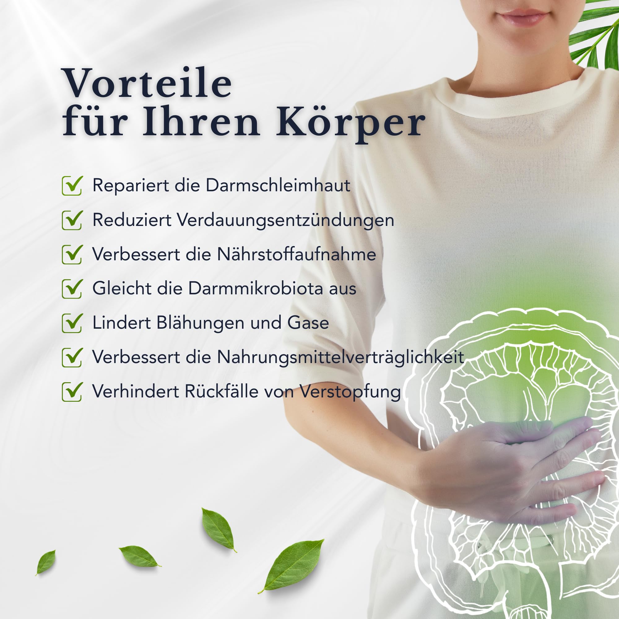 Trans-Resveratrol, L-Glutamin, Berberin, Quercetin, Omega 3 TG - SmartAbsorb™ | für Stoffwechsel, Verdauungsgesundheit und Immunabwehr | 28 Tages-Portionen